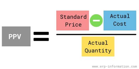 ppv business meaning|How to Calculate and Forecast Purchase Price。